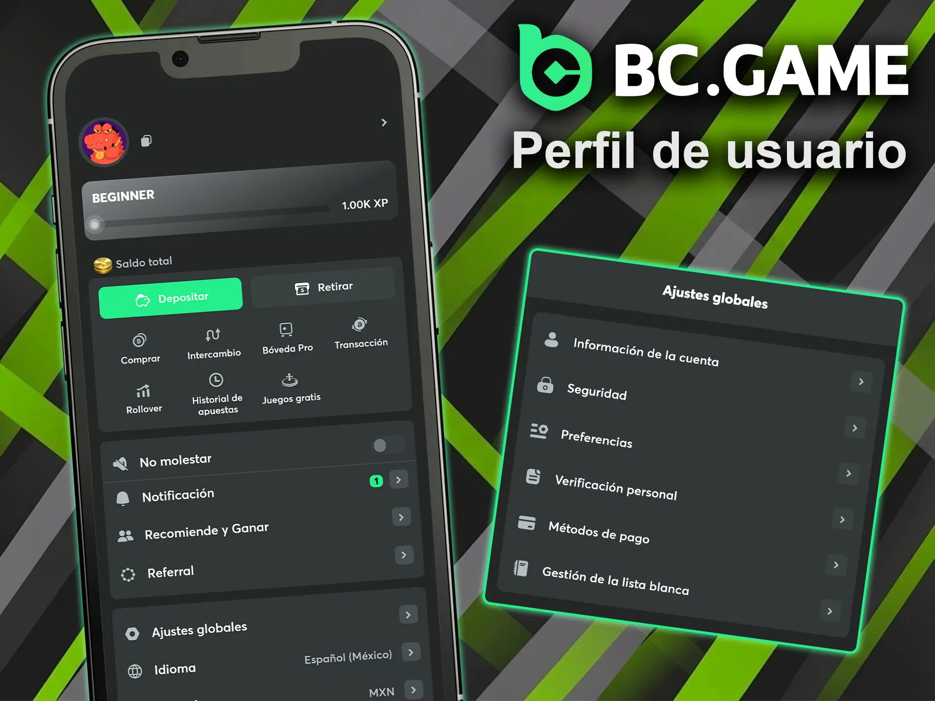 Gestione sus datos personales y seguridad usando las funciones de perfil de usuario en BC Game.